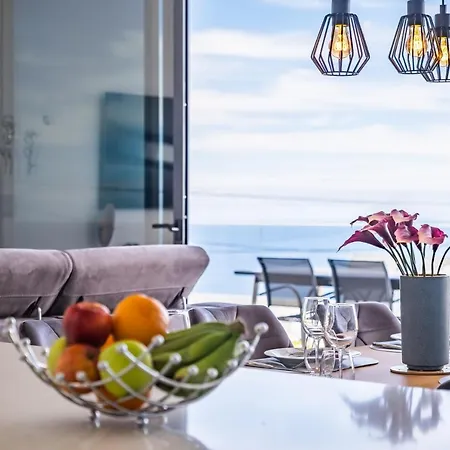 Camelia * Arco da Calheta (Madeira)