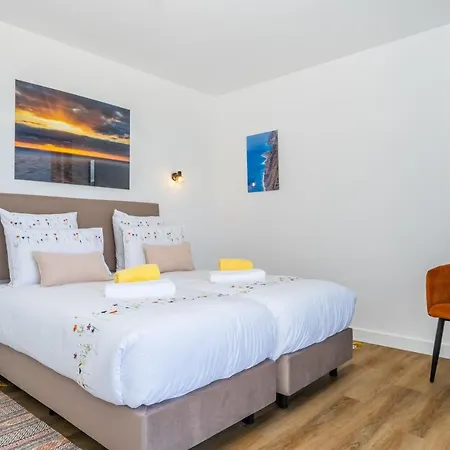 Camelia * Arco da Calheta