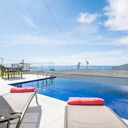 Camelia Arco da Calheta