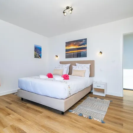 Camelia Arco da Calheta